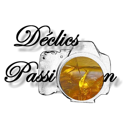 logo-declicpassion